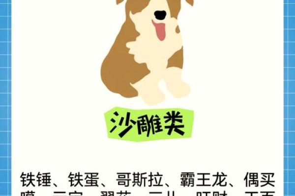 属狗寅时出生的男孩应该怎样起名,宜用什么字姓名 属狗寅时出生的男孩应该怎样起名,宜用什么字姓名