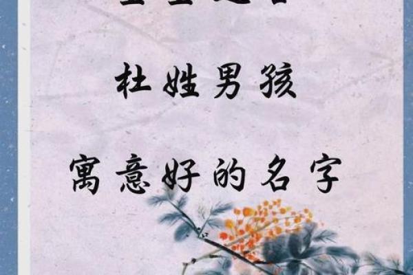 杜姓男孩名字大全-杜姓男孩起名字大全-杜姓名字大全姓名 杜姓男孩名字大全-杜姓男孩起名字大全-杜姓名字大全姓名