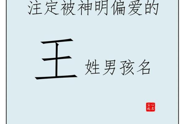 王姓男孩名字大全-王姓男孩起名字大全-王姓名字大全姓名 王姓男孩名字大全-王姓男孩起名字大全-王姓名字大全姓名
