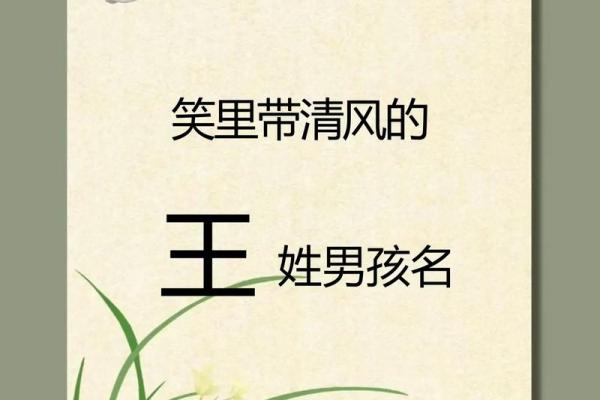 王姓男孩名字大全-王姓男孩起名字大全-王姓名字大全姓名 王姓男孩名字大全-王姓男孩起名字大全-王姓名字大全姓名