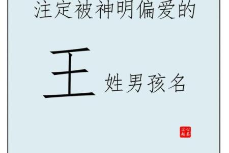 王姓男孩名字大全-王姓男孩起名字大全-王姓名字大全姓名