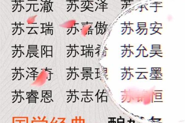 苏姓男孩名字大全-苏姓男孩起名字大全-苏姓名字大全姓名