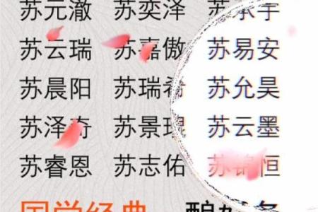 苏姓男孩名字大全-苏姓男孩起名字大全-苏姓名字大全姓名