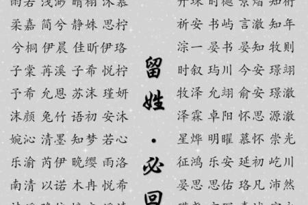 2019年3月25号亥时出生的男孩起名方法姓名