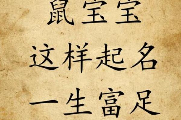 给晚上出生的属鼠男孩起名宜用什么字姓名