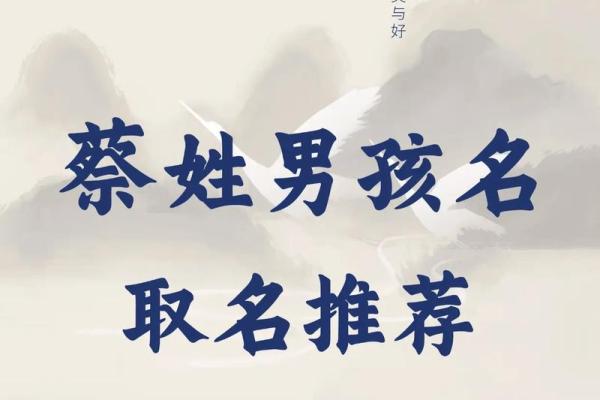 2019年6月11号卯时出生的男孩起名方法姓名